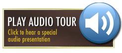 Play Audio Tour